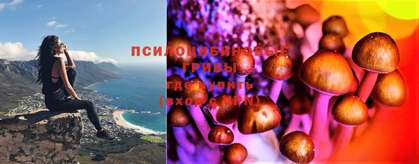 мяу мяу мука Баксан