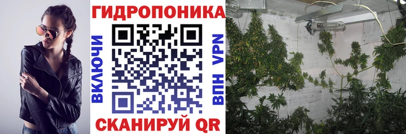 купить наркоту  hydra рабочий сайт  shop официальный сайт  Заозёрный  Каннабис SATIVA & INDICA 
